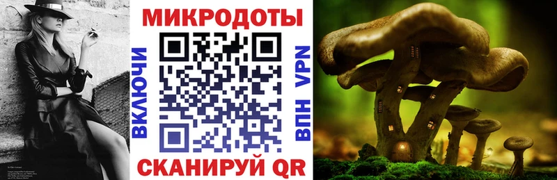 Галлюциногенные грибы Psilocybe  Волгодонск 